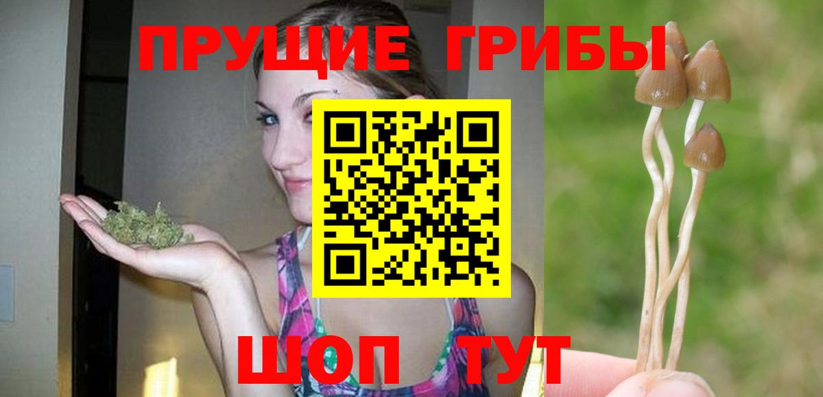 Каменск-Шахтинский  Галлюциногенные грибы Magic Shrooms  Вход с VPN 